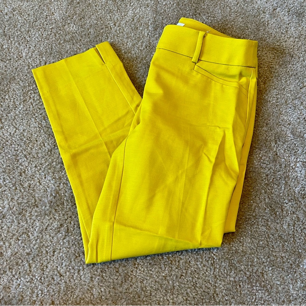 Loft Dress Pants